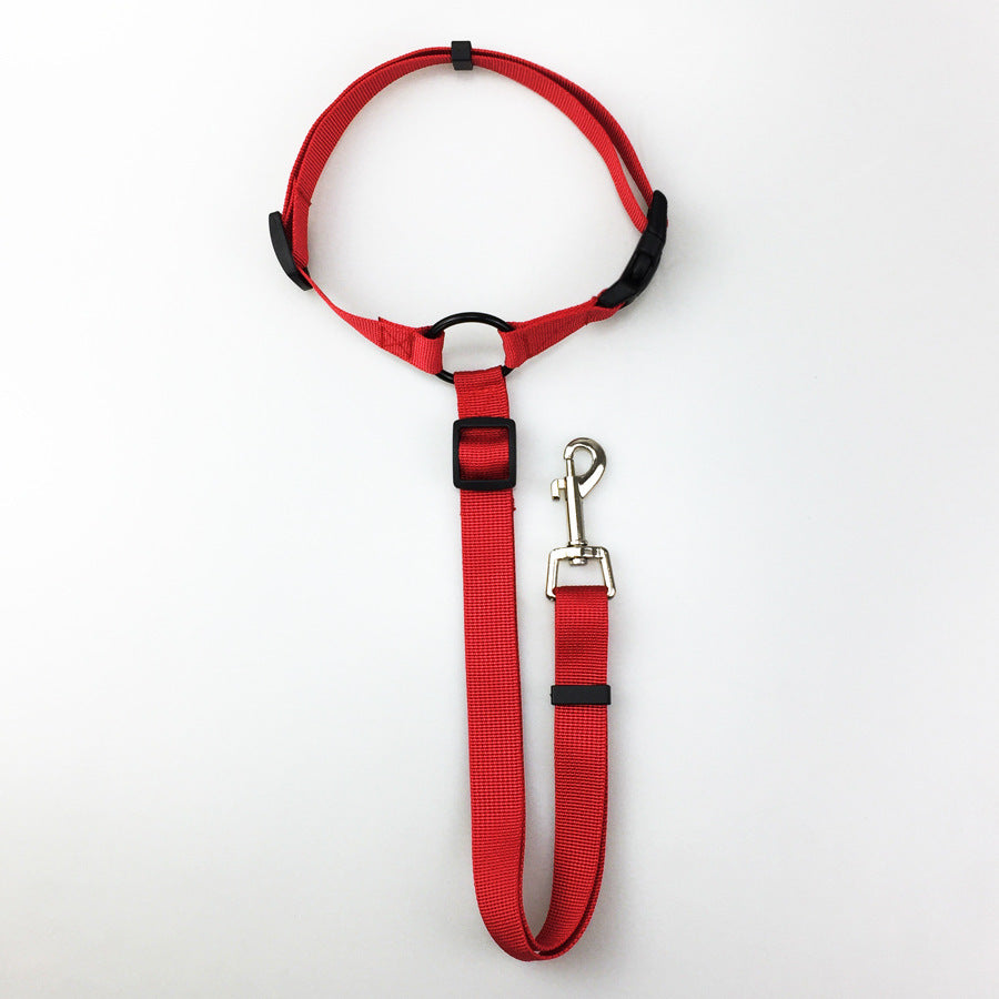 Secure Pet Safety Leash