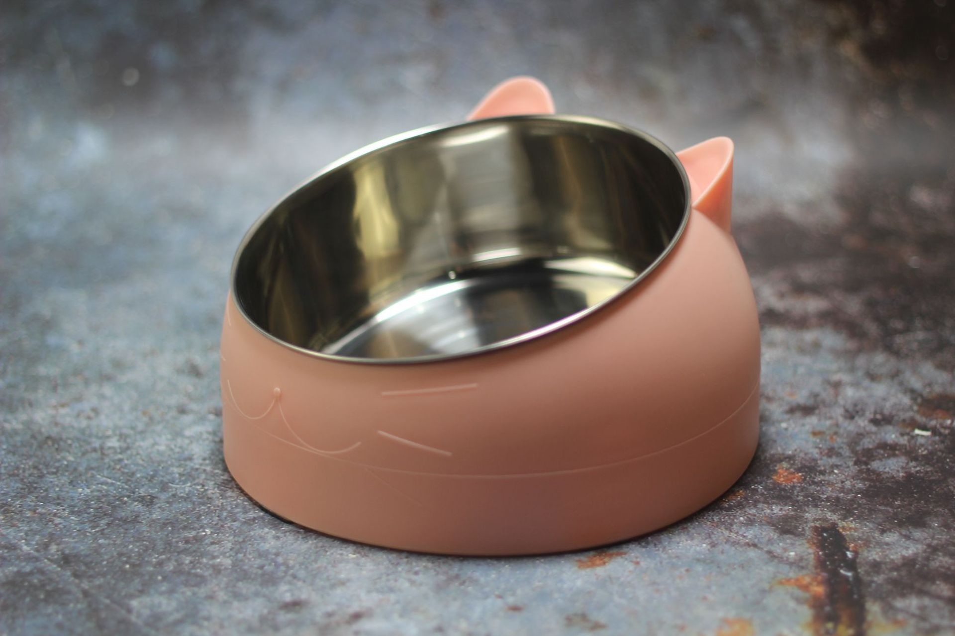 Protective Cervical Pet Bowl with Tilted Design