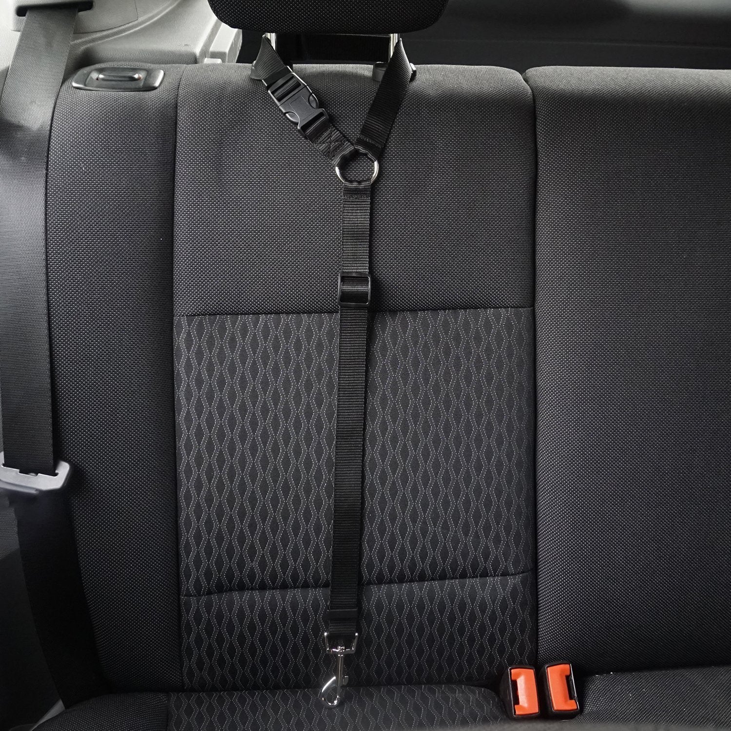 Secure Pet Safety Leash