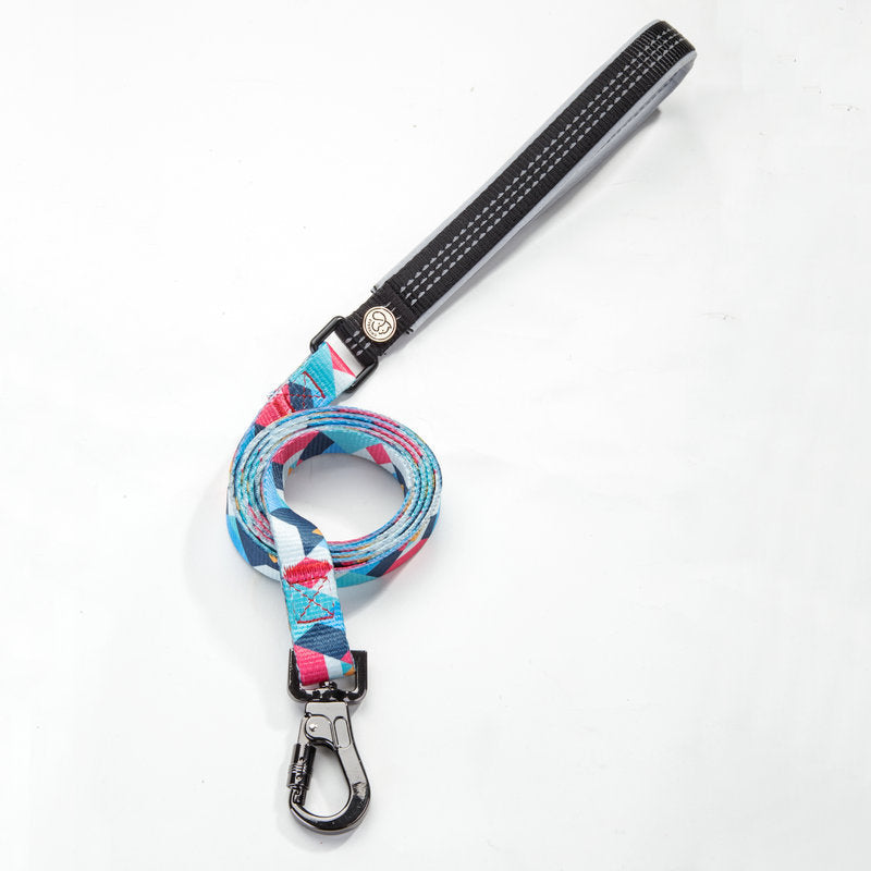 Durable Dog Leash for Everyday Use