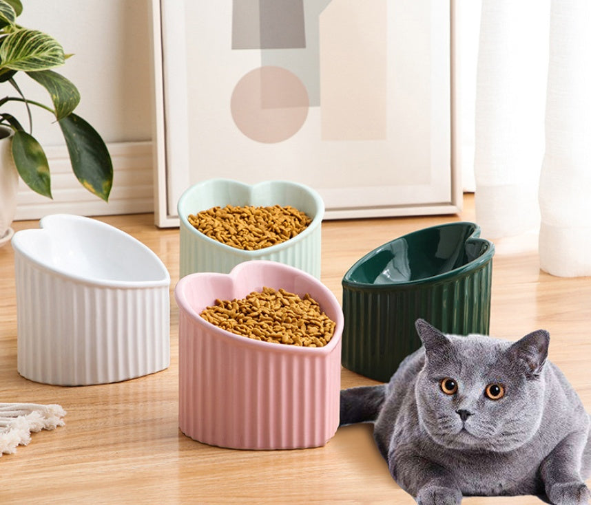 Inclined Ceramic Pet Bowl