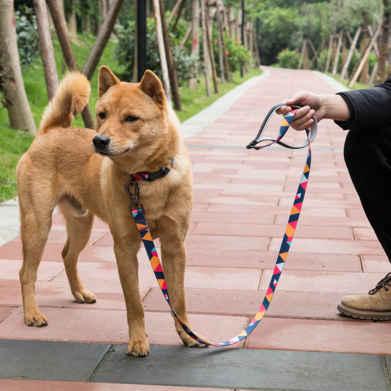 Durable Dog Leash for Everyday Use