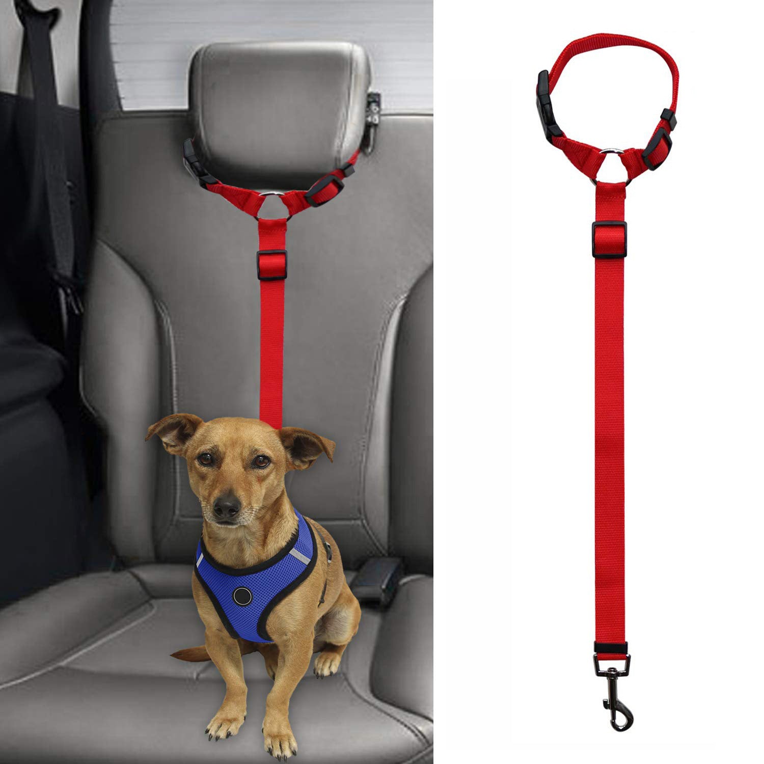 Secure Pet Safety Leash
