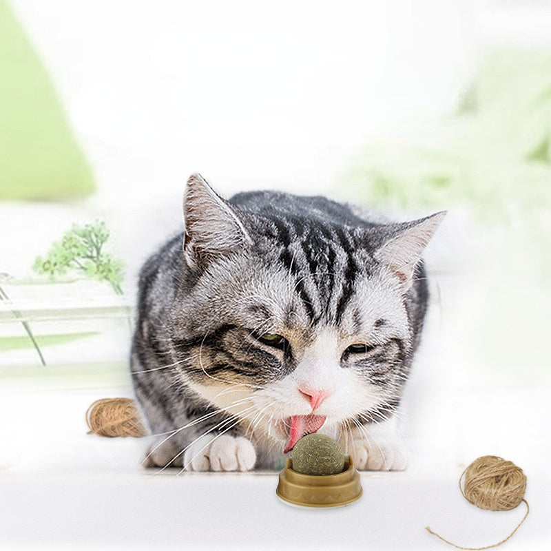 Catnip Balls for Play and Teeth Cleaning
