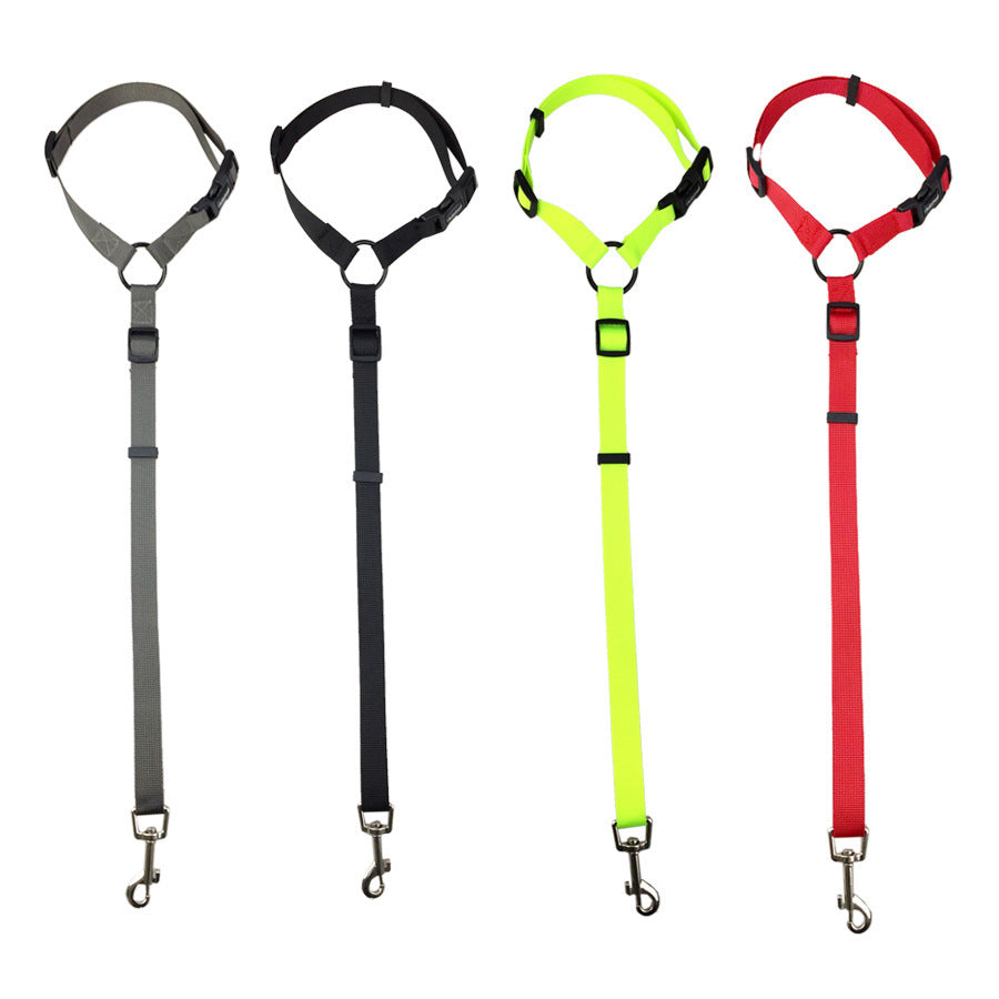 Secure Pet Safety Leash
