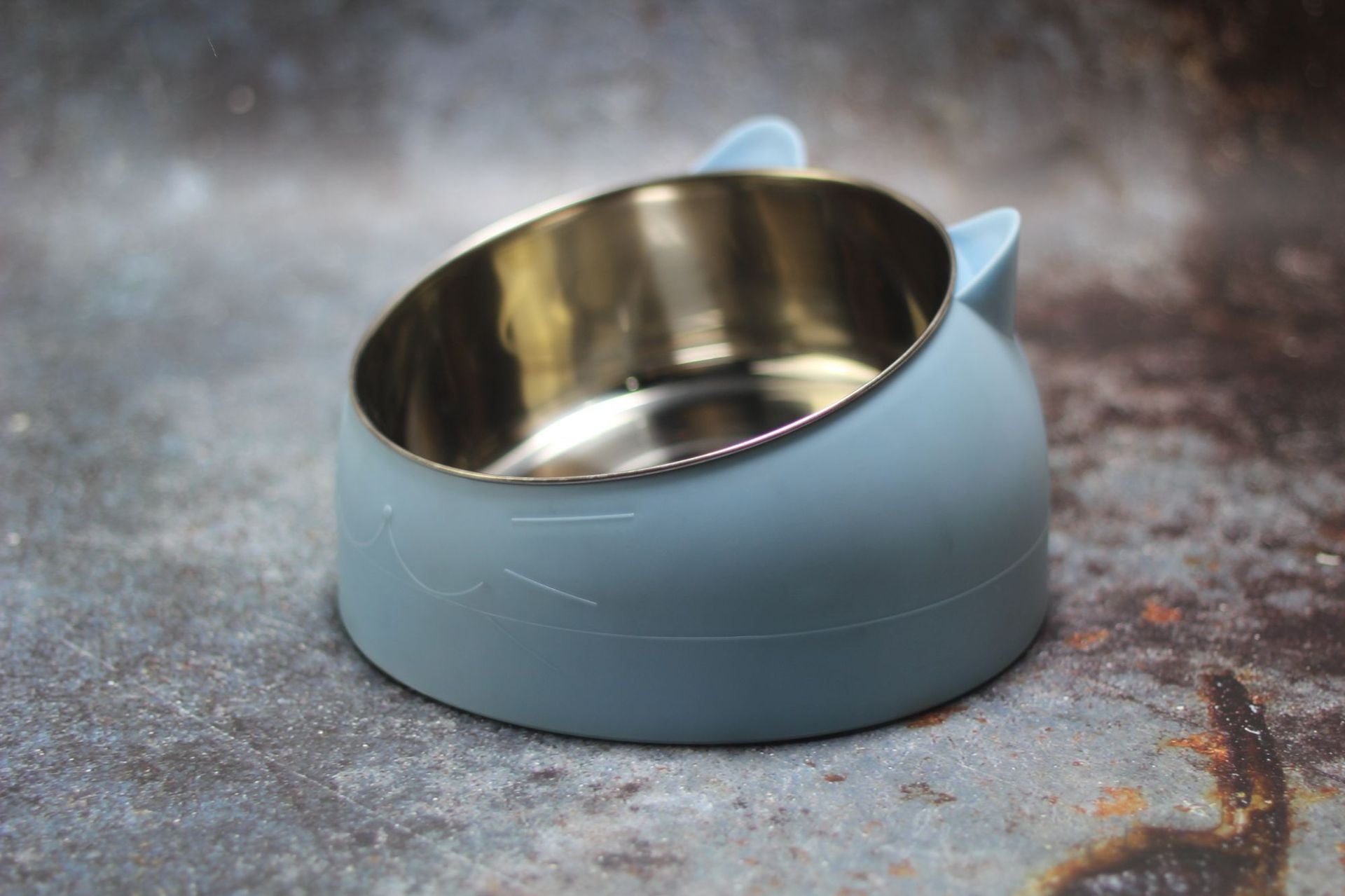 Protective Cervical Pet Bowl with Tilted Design