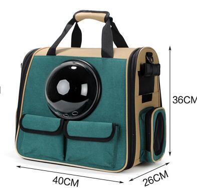 Space-Style Pet Backpack Carrier