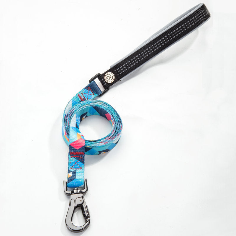 Durable Dog Leash for Everyday Use