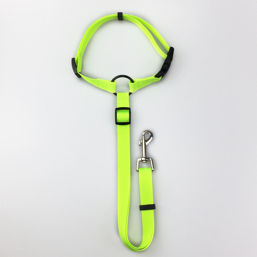 Secure Pet Safety Leash
