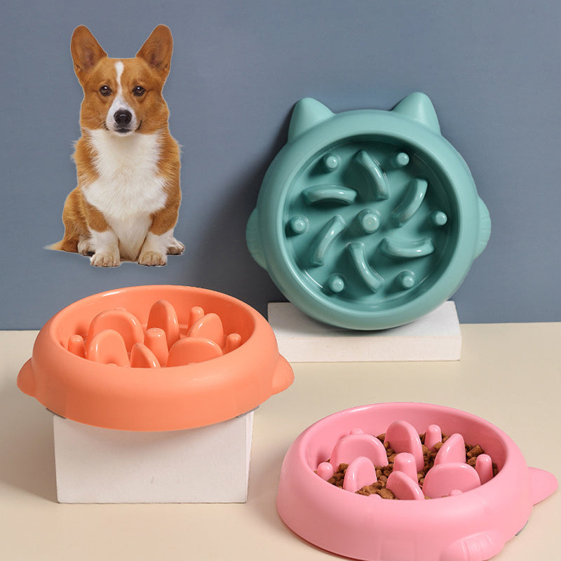Slow Feeder Bowl for Dogs and Cats