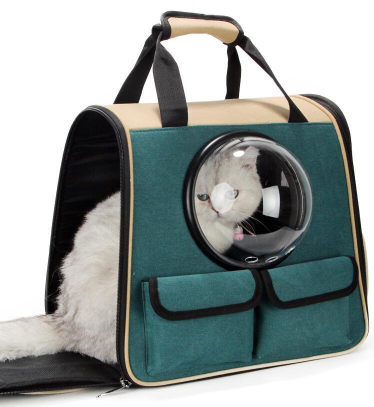 Space-Style Pet Backpack Carrier