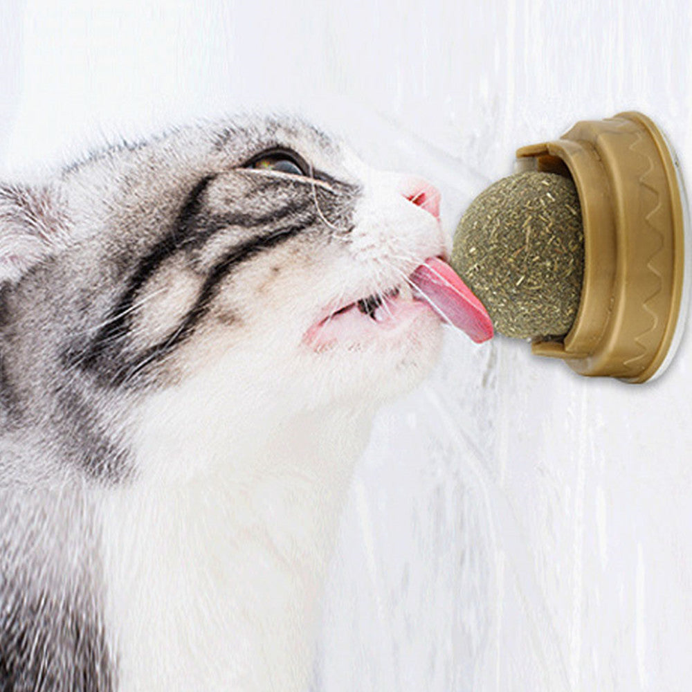 Catnip Balls for Play and Teeth Cleaning