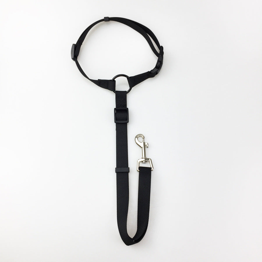 Secure Pet Safety Leash