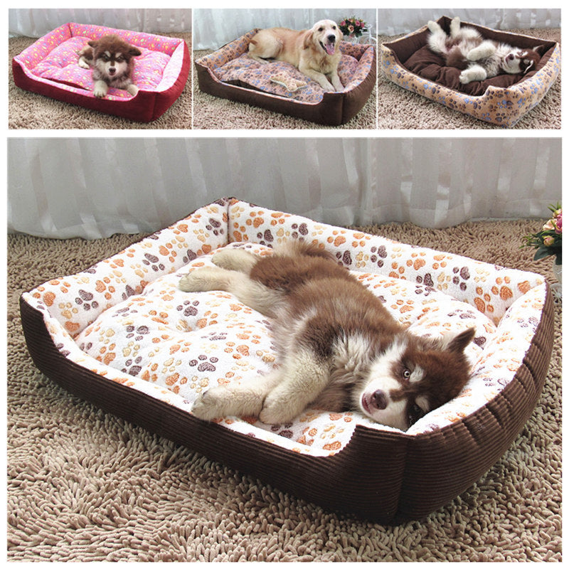 Pet Bed with Removable Cushion
