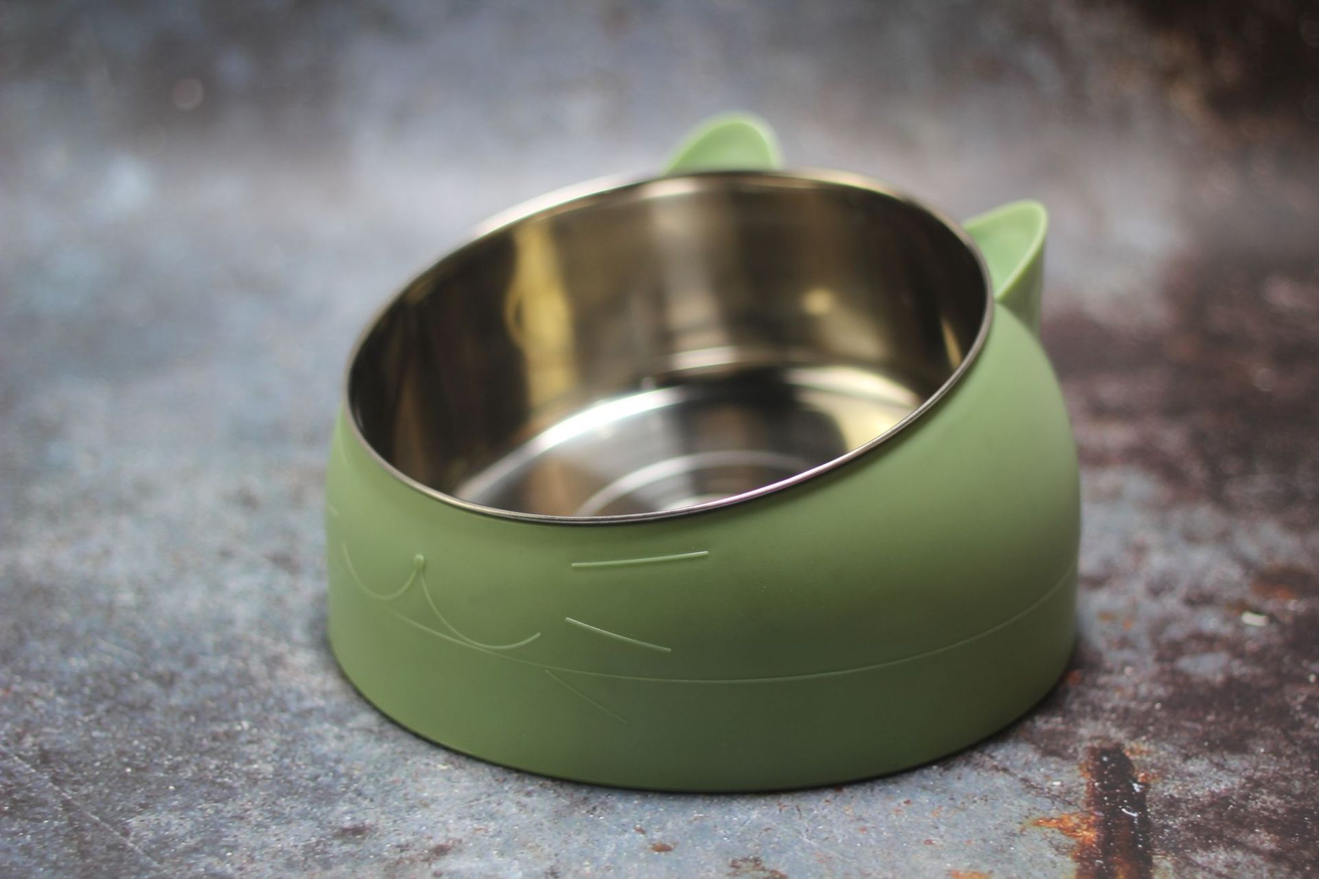 Protective Cervical Pet Bowl with Tilted Design