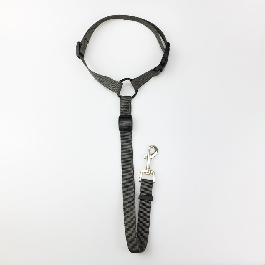 Secure Pet Safety Leash