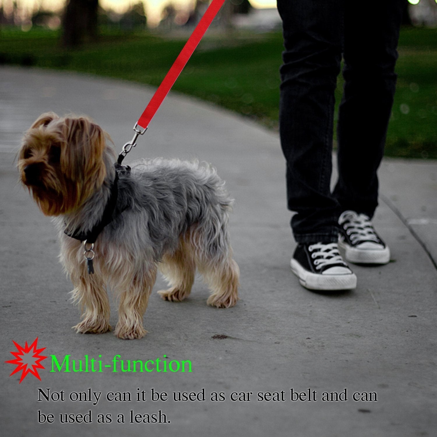 Secure Pet Safety Leash