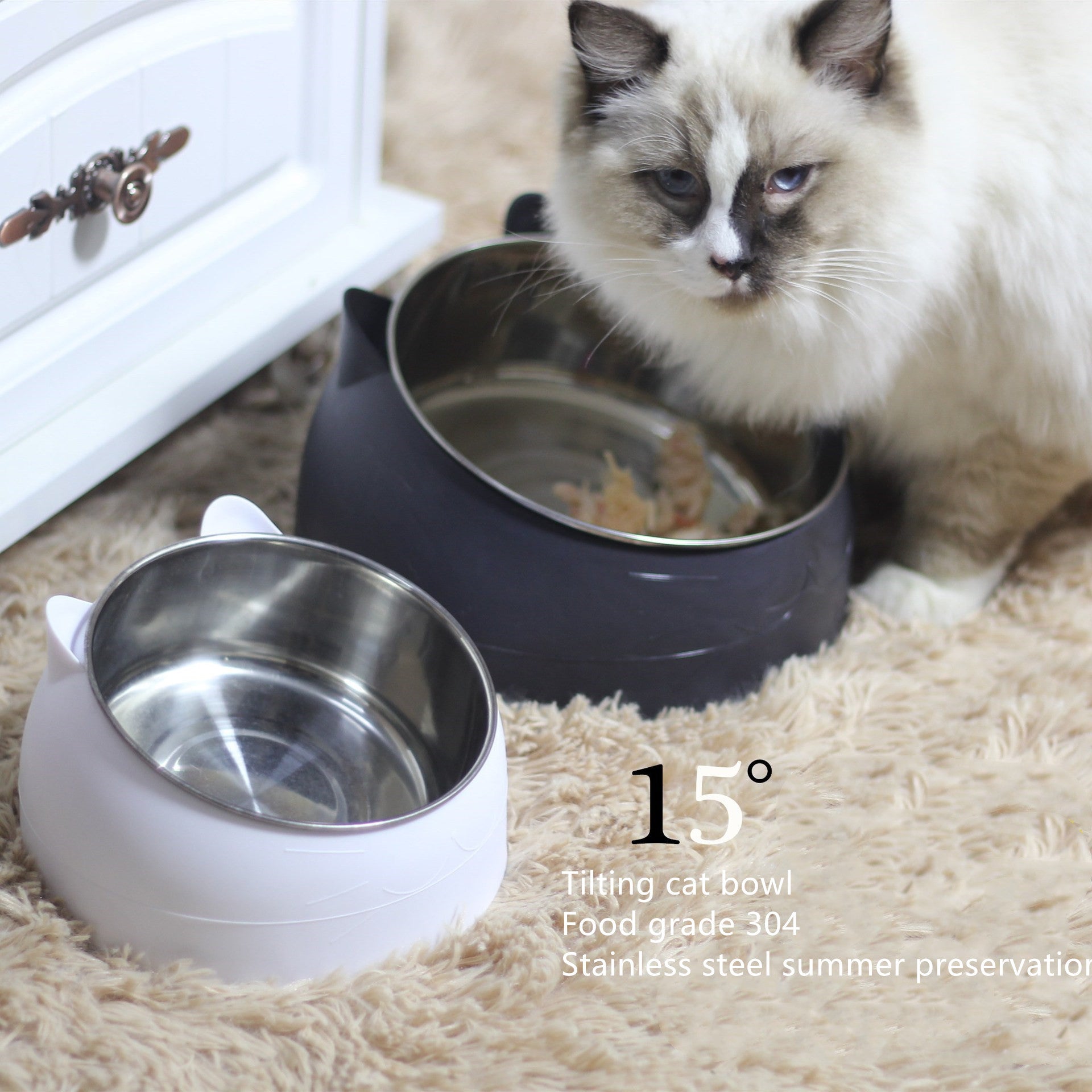Protective Cervical Pet Bowl with Tilted Design