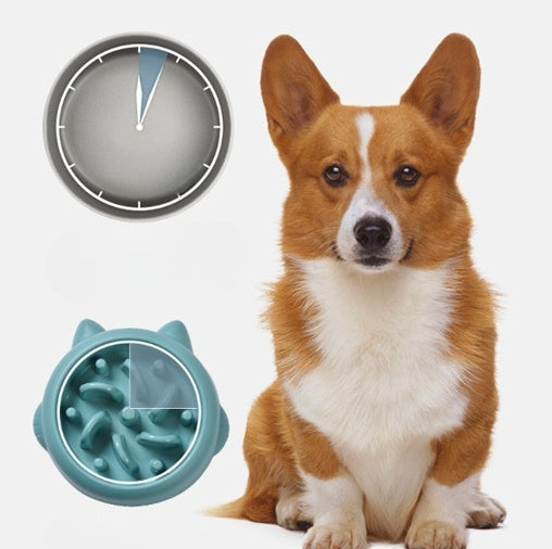 Slow Feeder Bowl for Dogs and Cats