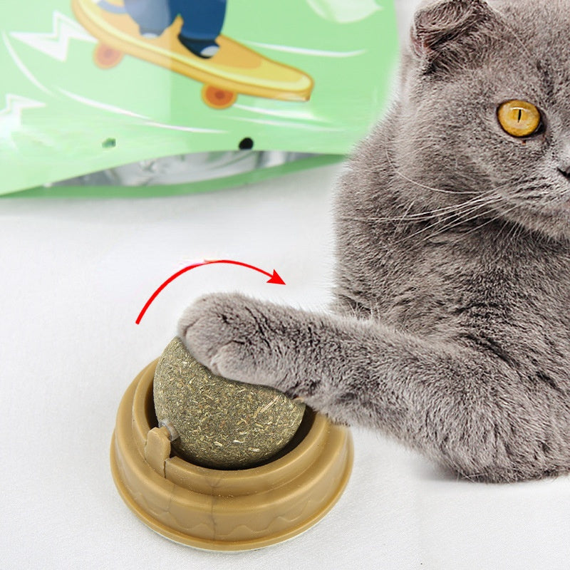 Catnip Balls for Play and Teeth Cleaning